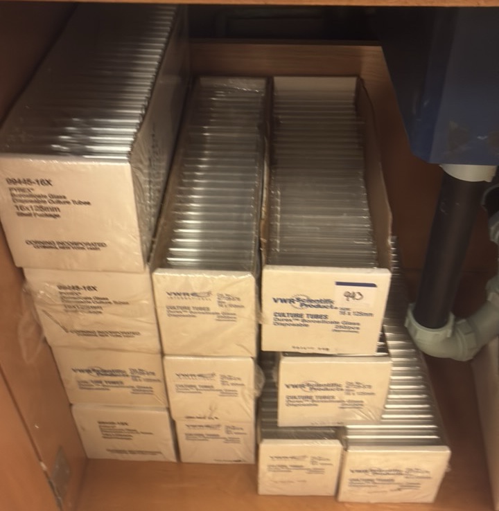 Glass Disposable Culture Tubes