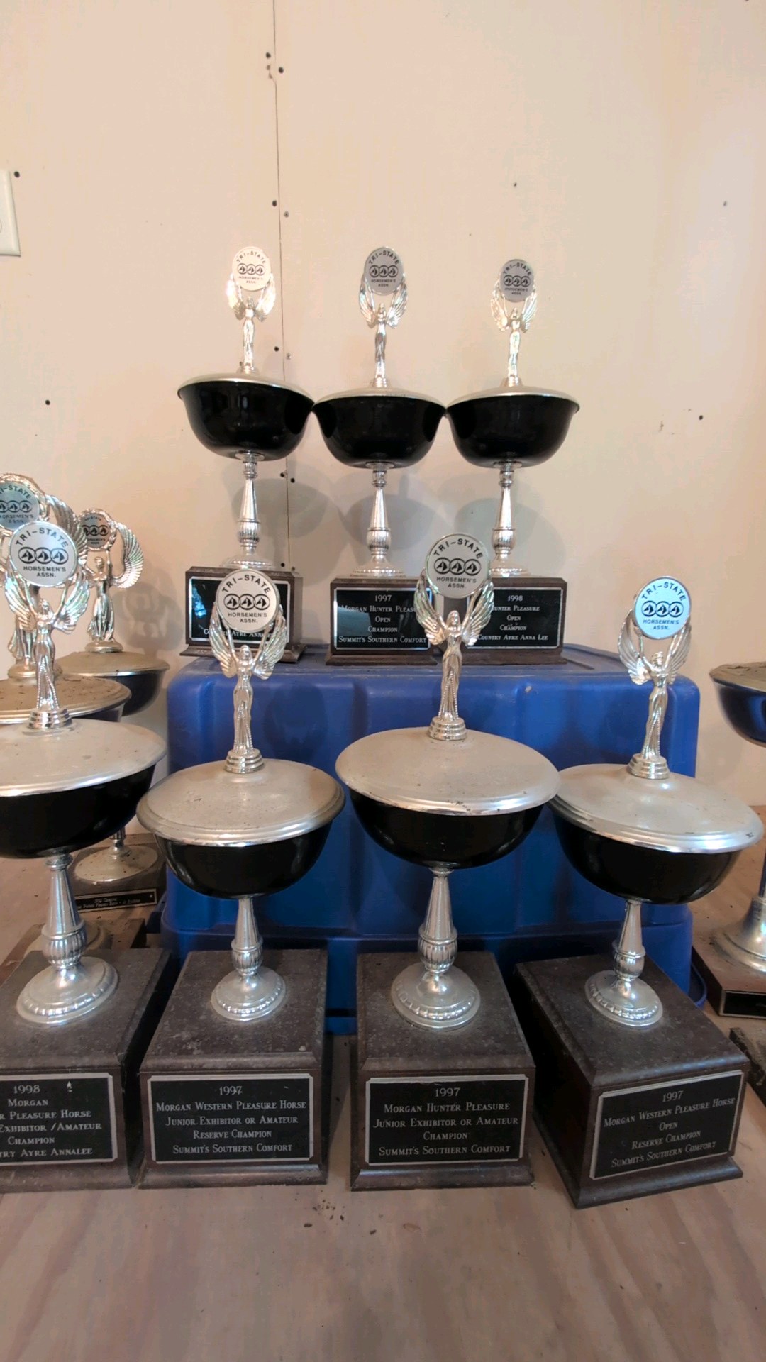 Lot of 11 trophies from the 90s