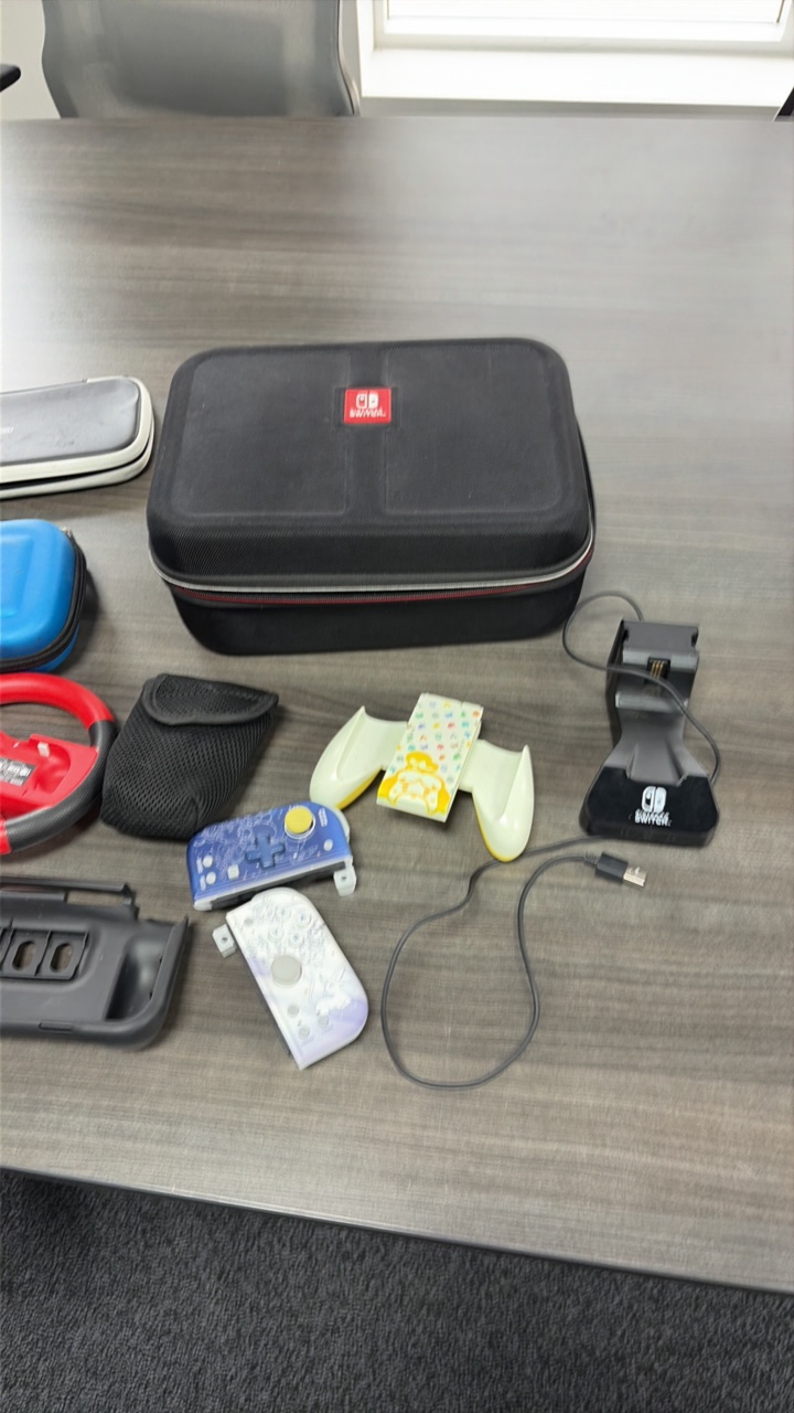 Nintendo Switch Accessory Lot