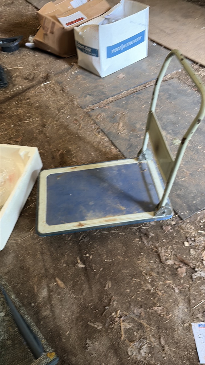Foldable move-in cart
