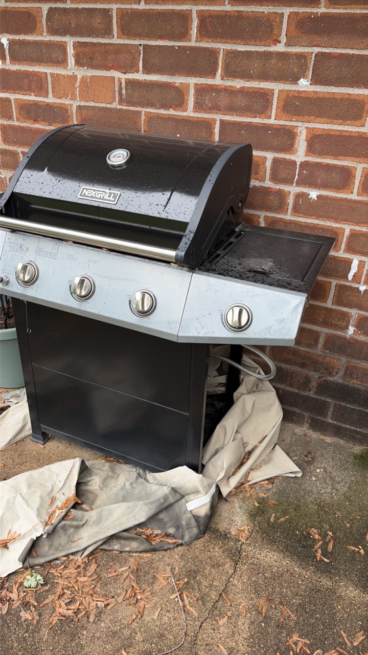 Next grill propane grill
