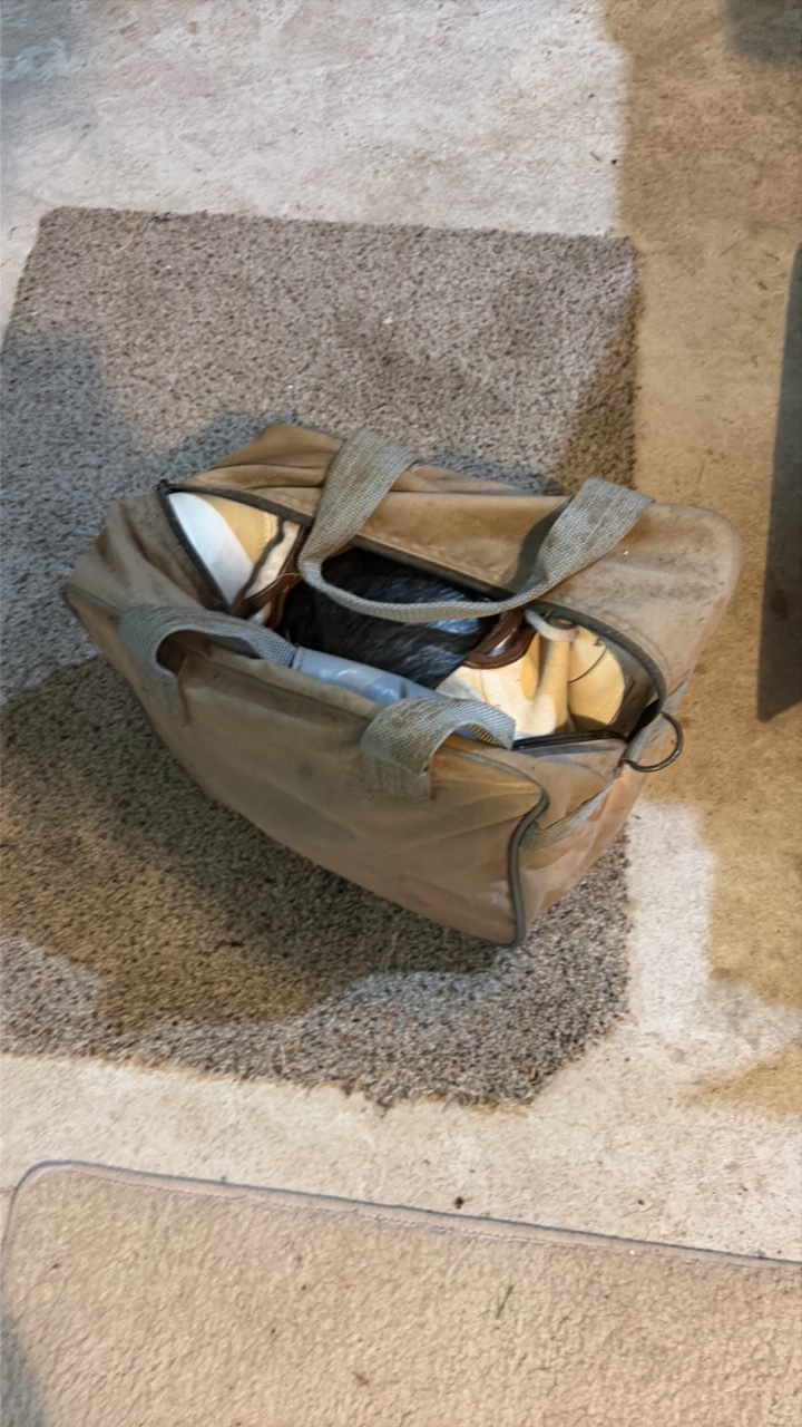 bowling ball with carrying case