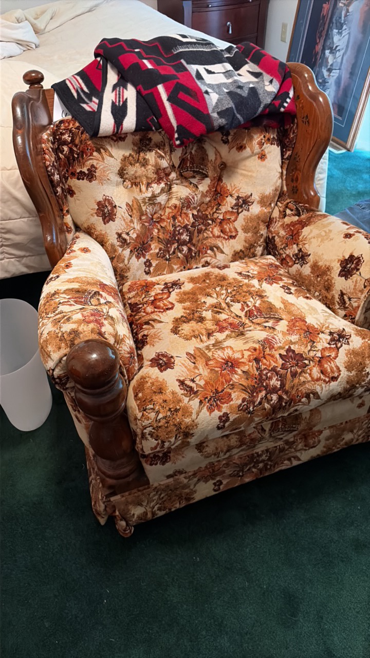 2x decorative chairs