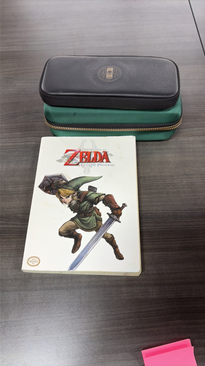 Legend of Zelda strategy gUide and Switch Accessories.
