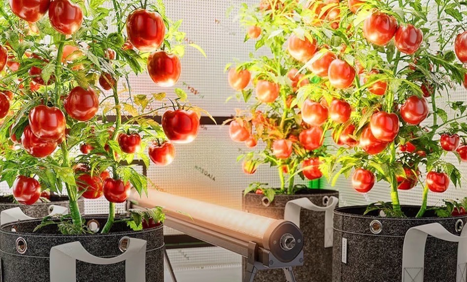 VIVOSUN LumaRay Under Canopy Grow Light, Full Spectrum Dimmable LED Grow Lights for Grow Tents, Greenhouses, SGS Compatible, 100W, 3.28 ft, 1 Pack Retail $125.00