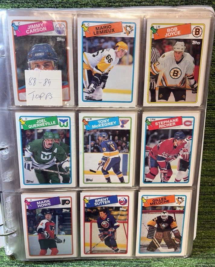 1988-89 Topps NHL Hockey Complete Set in Binder (Brett Hull Rookie)