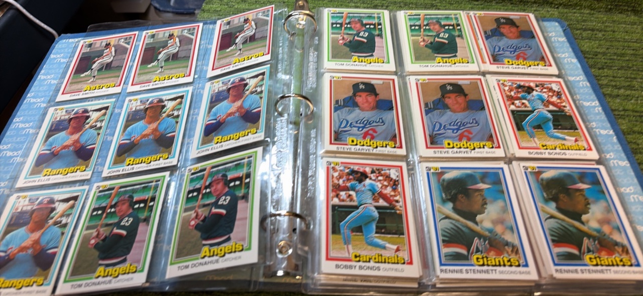 1981 Donruss MLB Lot of Doubles in Binder Mixed Baseball Cards Variations & Regionals