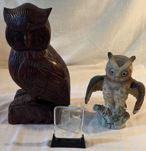Owls