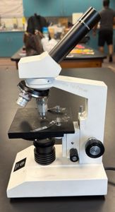 microscope by Fisher Scientific WF 10 X – 18 MM