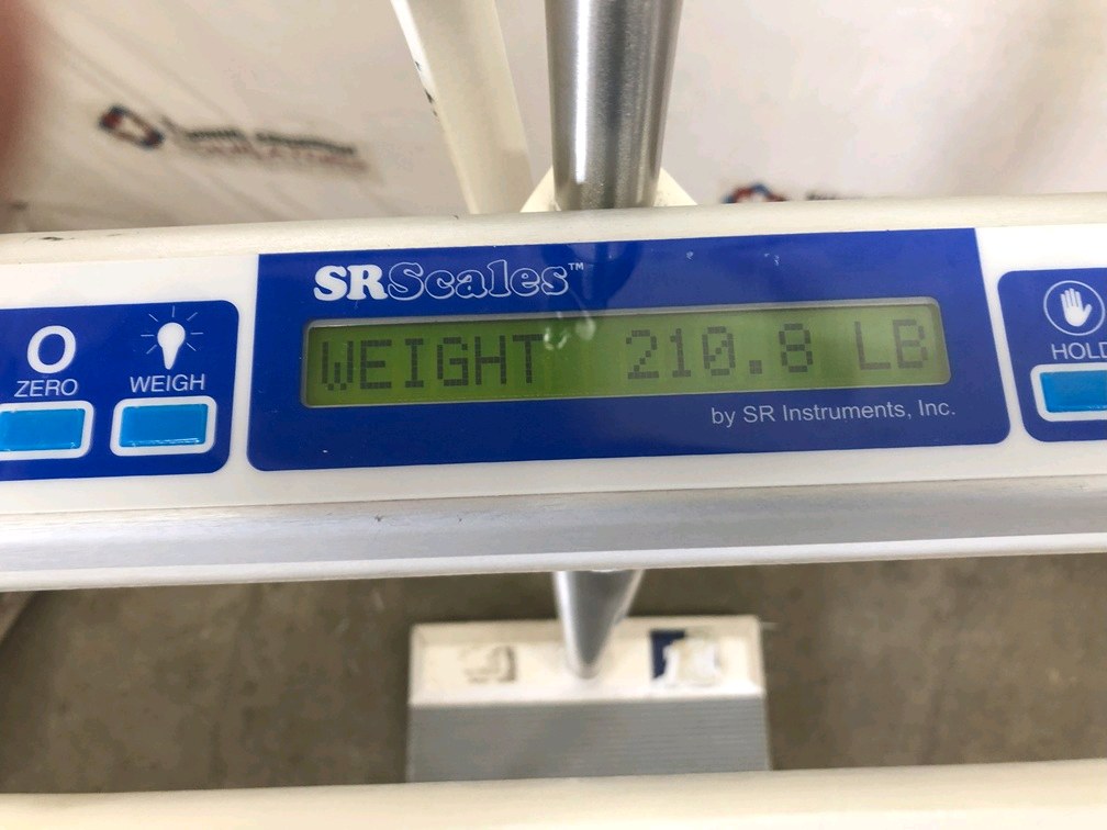 Adult Digital Scale