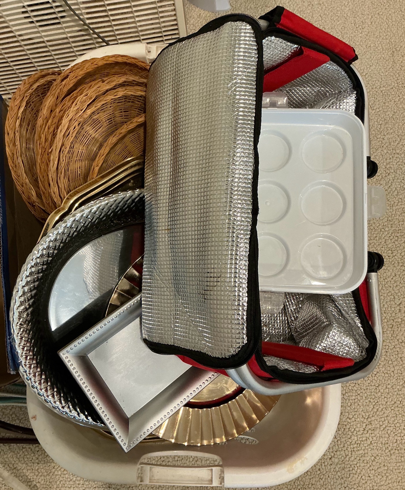 Group of various entertaining picnic plastic platters cooler material