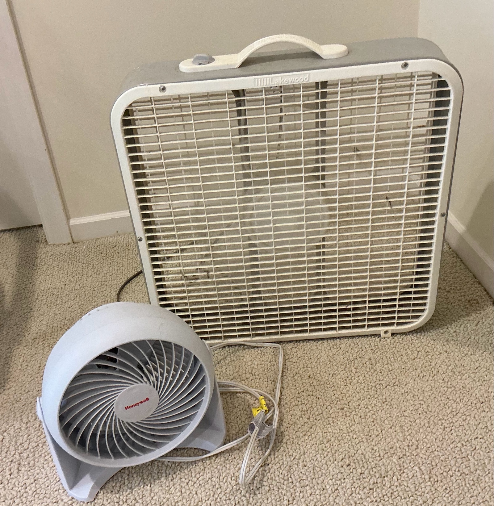 Group of 2 fans