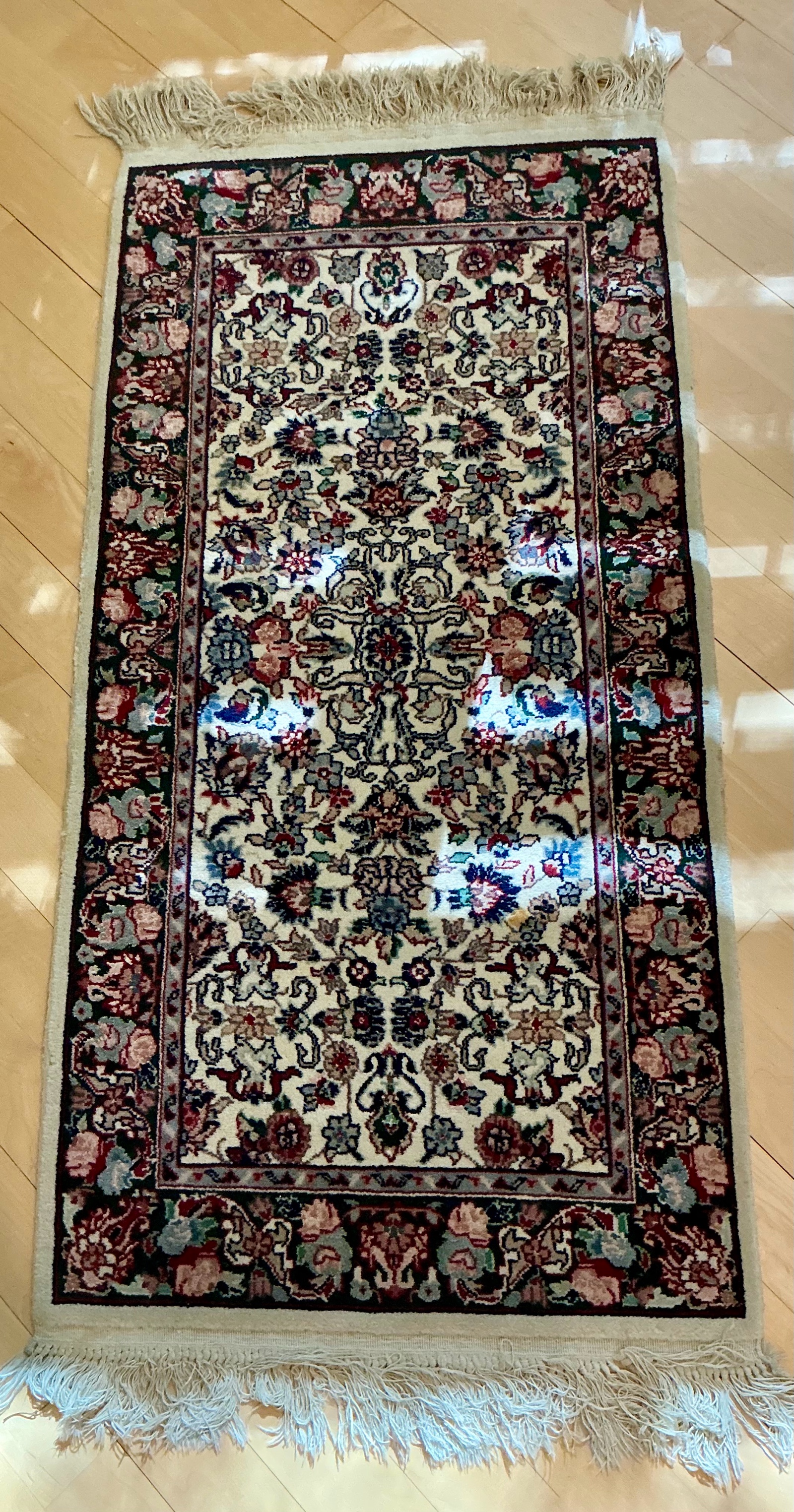 Hand-Knotted Persian style rug