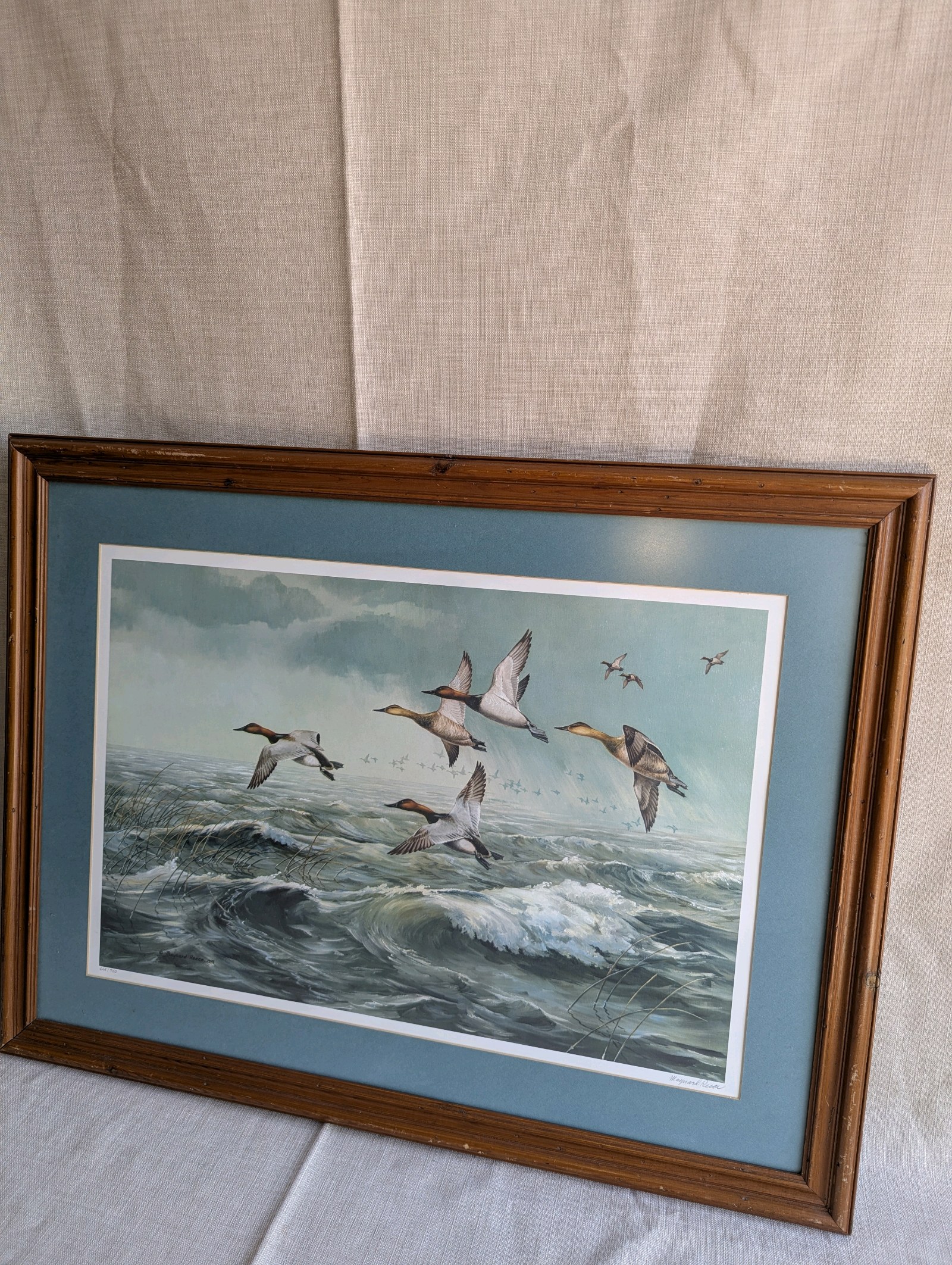 Framed color lithograph featuring Canvasback ducks in flight, titled Rough Water - Canvasbacks, artist Maynard Reece