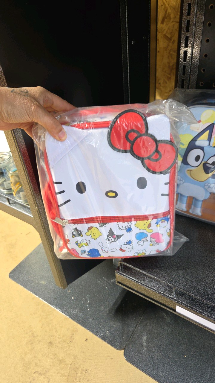 Set of 2 Lunch Bags
