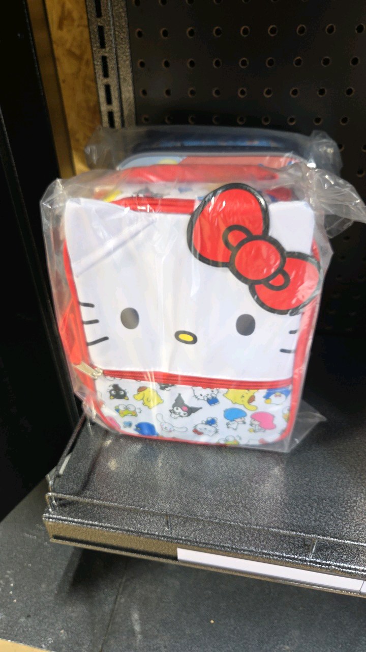 Set of 2 Lunch Bags